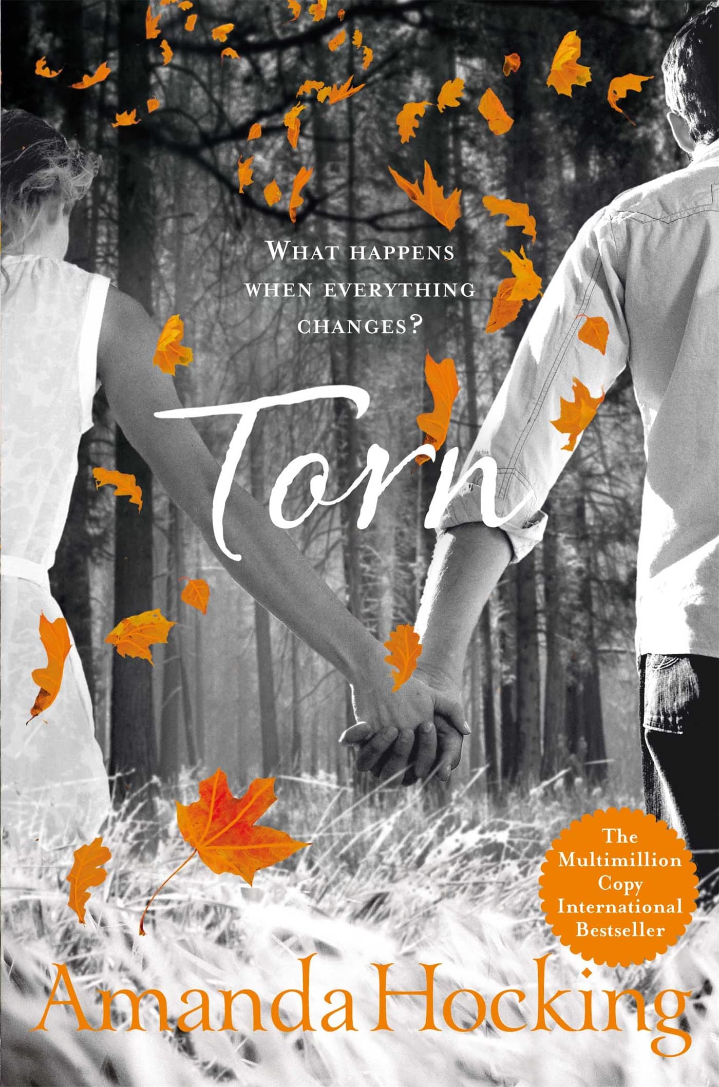 Torn (The Trylle Trilogy, 2)