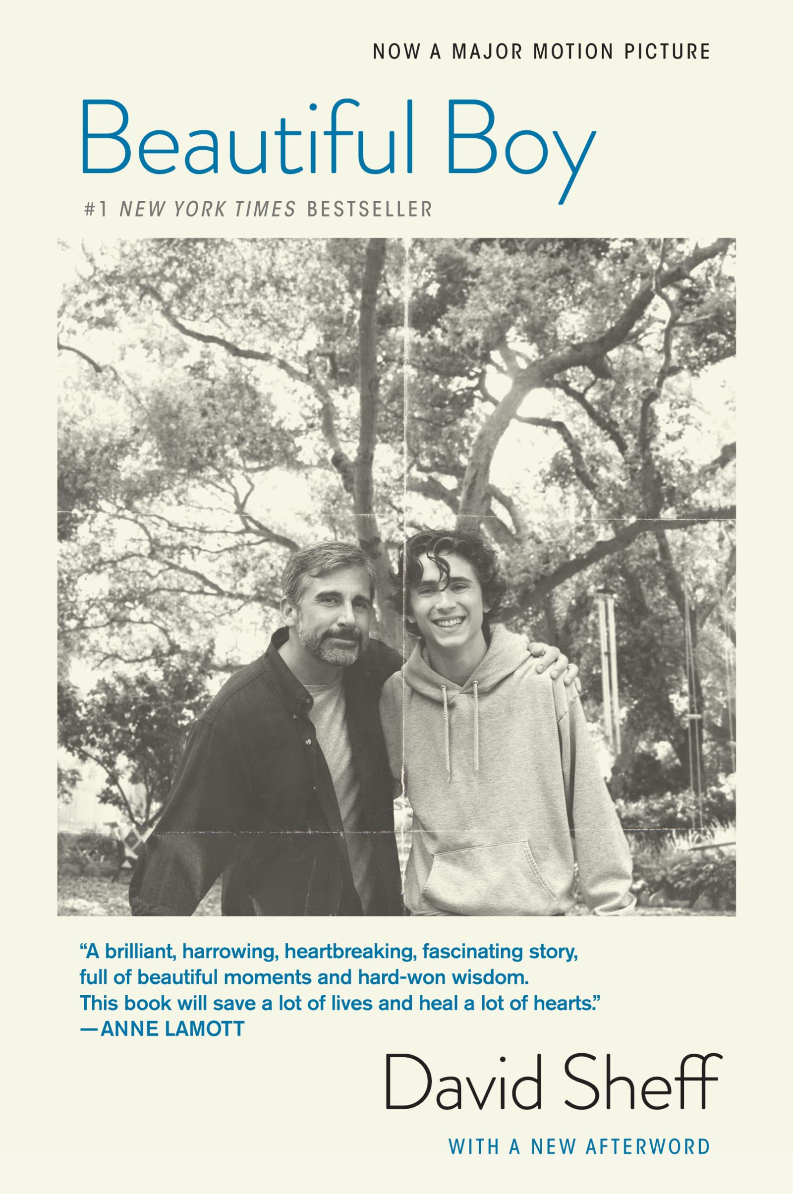 Beautiful Boy (tieIn): A Fathers Journey Through His Sons Addiction