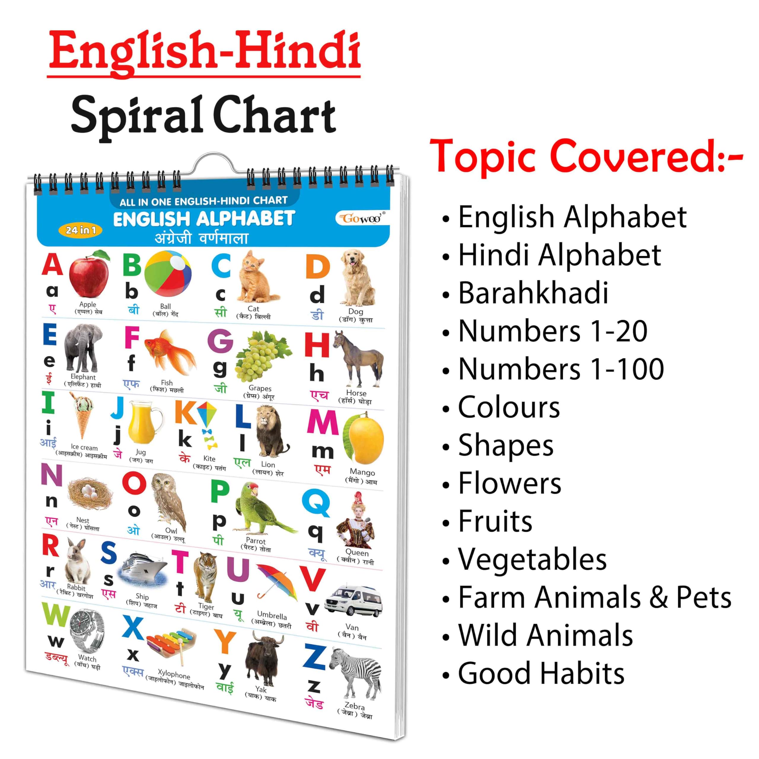 My First ALL IN ONE SPIRAL CHART (ENGLISHHINDI) : Early Learning Chart Book Collections, Chart Book With 24 Topics, gift for Ki