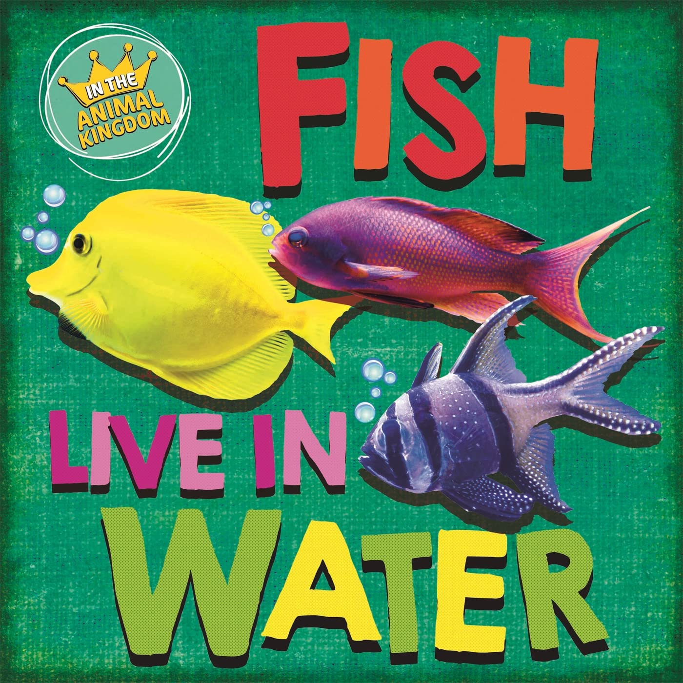 IN THE ANIMAL KINGDOM: FISH LIVE IN WATER