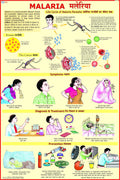 Malaria Chart