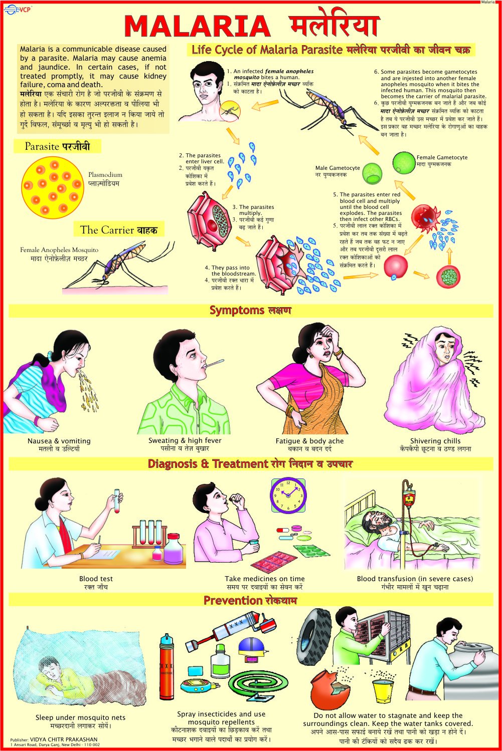 Malaria Chart