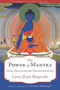 Power of Mantra: Vital Energy for Transformation: Vital Practices for Transformation (Wisdom Culture)