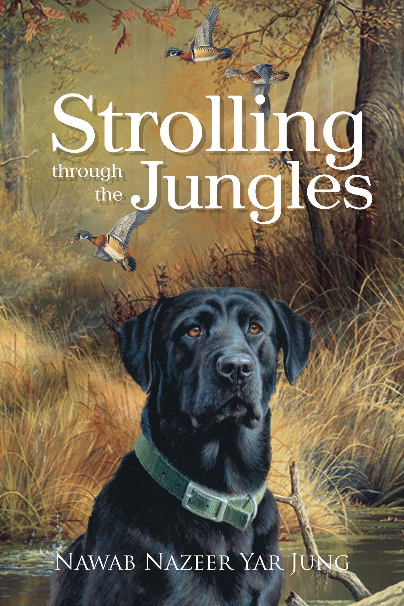 Strolling through the Jungles
