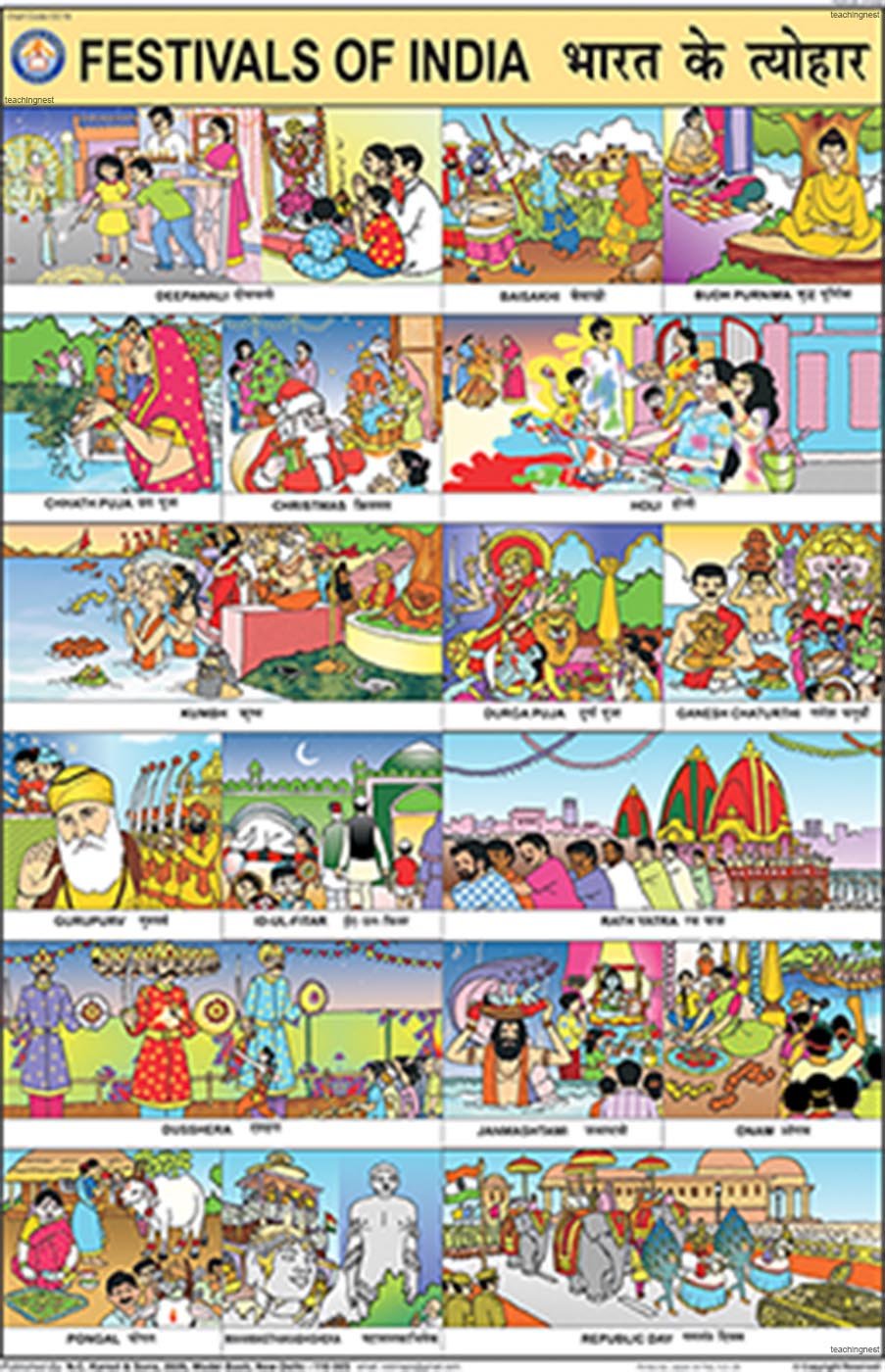 Cc19 | Teachingnest | Festivals Of India Chart (50X75Cm) | Charts For Children | With Rollers | English  Hindi Combined [Wall C