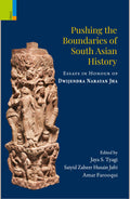 Primus Books  Pushing the Boundaries of South Asian History: Essays in Honour of Dwijendra Narayan Jha