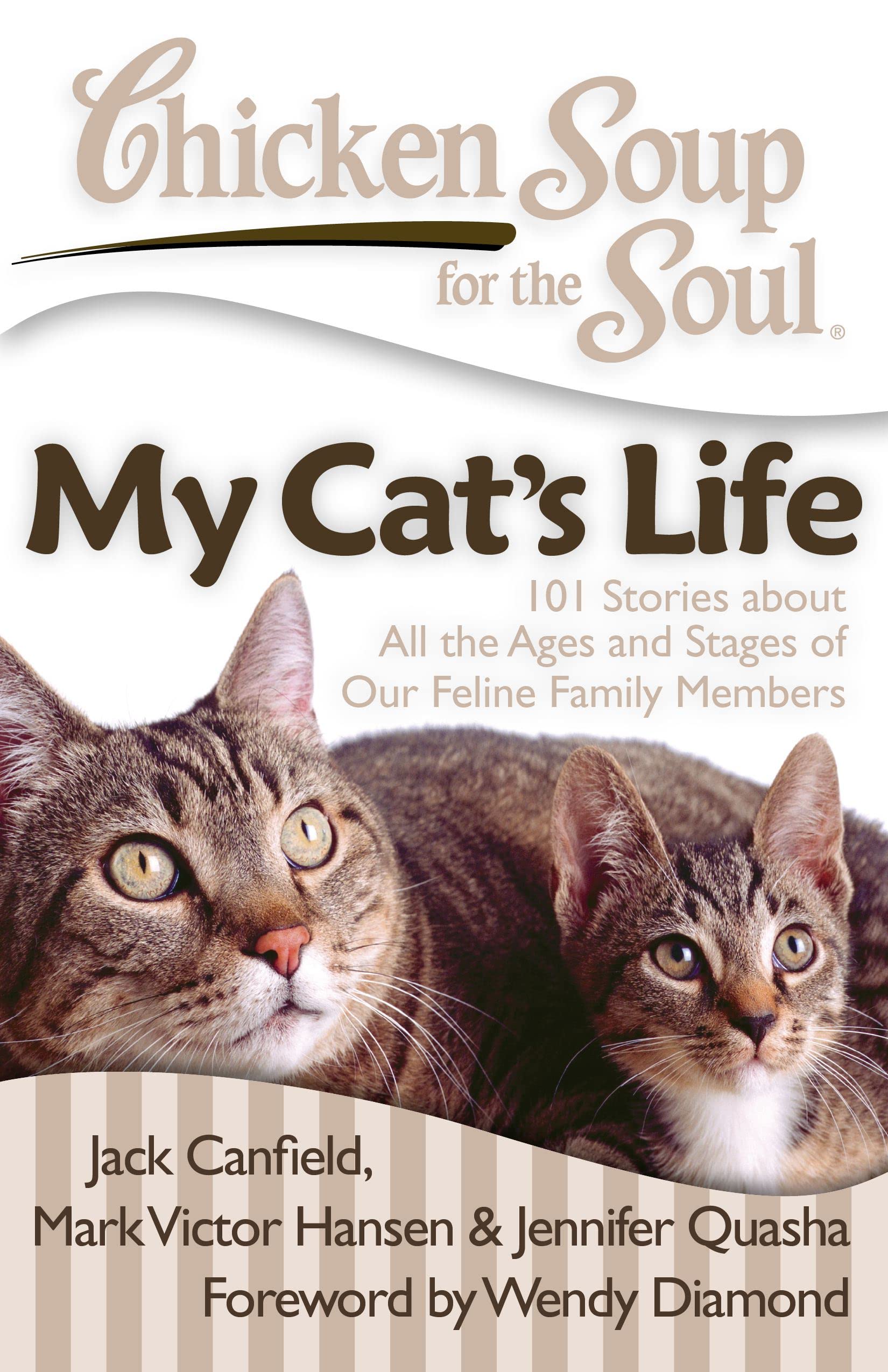 Chicken Soup for the Soul: My Cats Life: 101 Stories about All the Ages and Stages of Our Feline Family Members