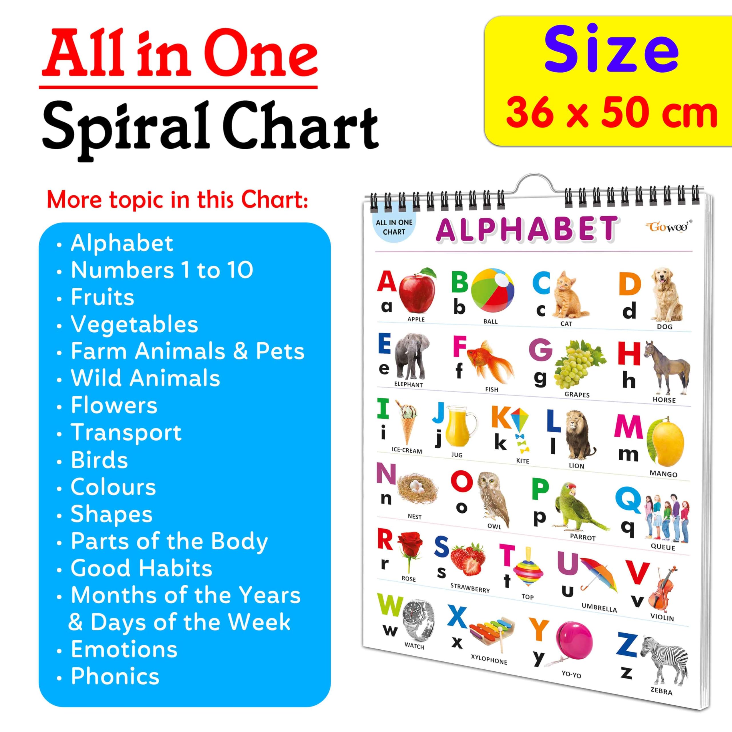 My First ALL IN ONE SPIRAL CHART : Kids first little library, Chart for kids, Early learning Chart, Picture Chart collection Wit