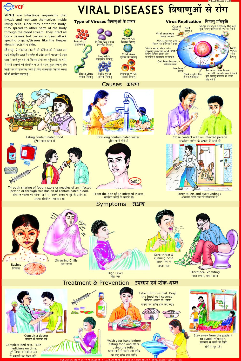 Viral Diseases Chart