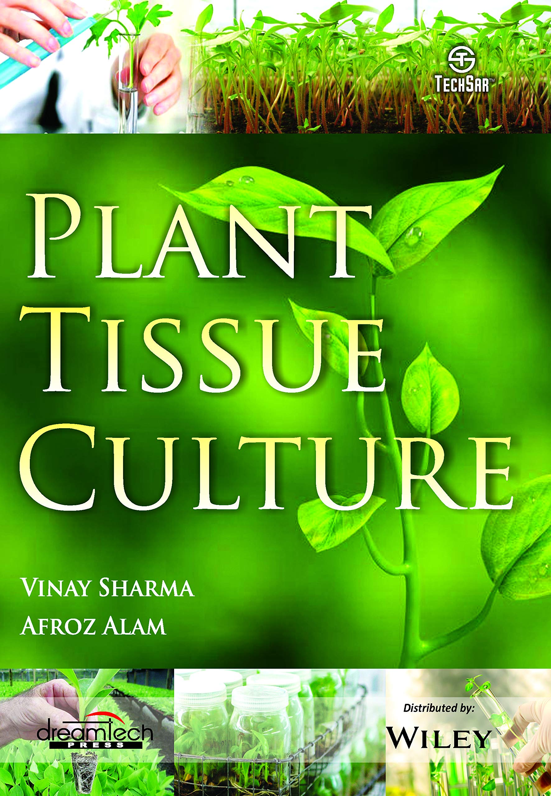 Plant Tissue Culture | E