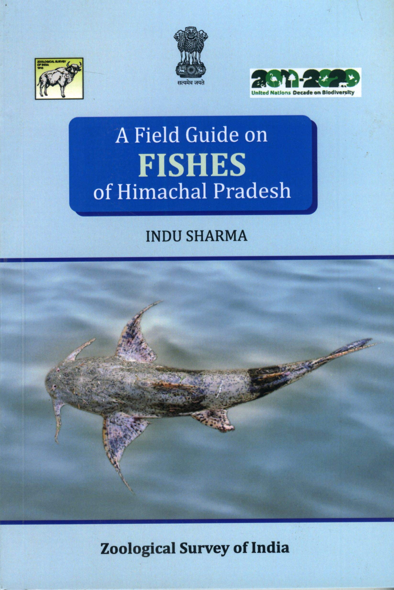 A Field Guide On Fishes of Himachal Pradesh