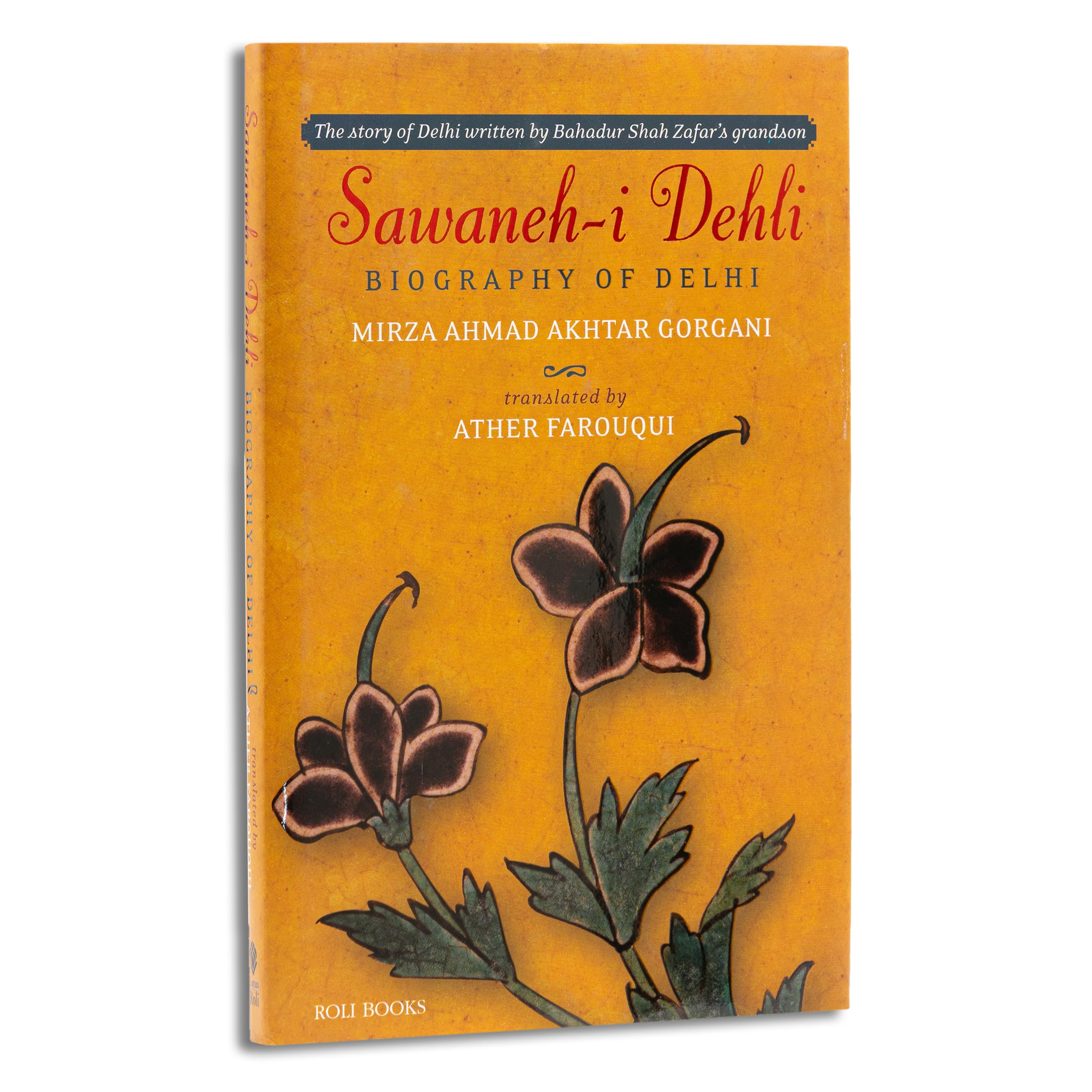 Sawanehi Dehli: Biography of Delhi