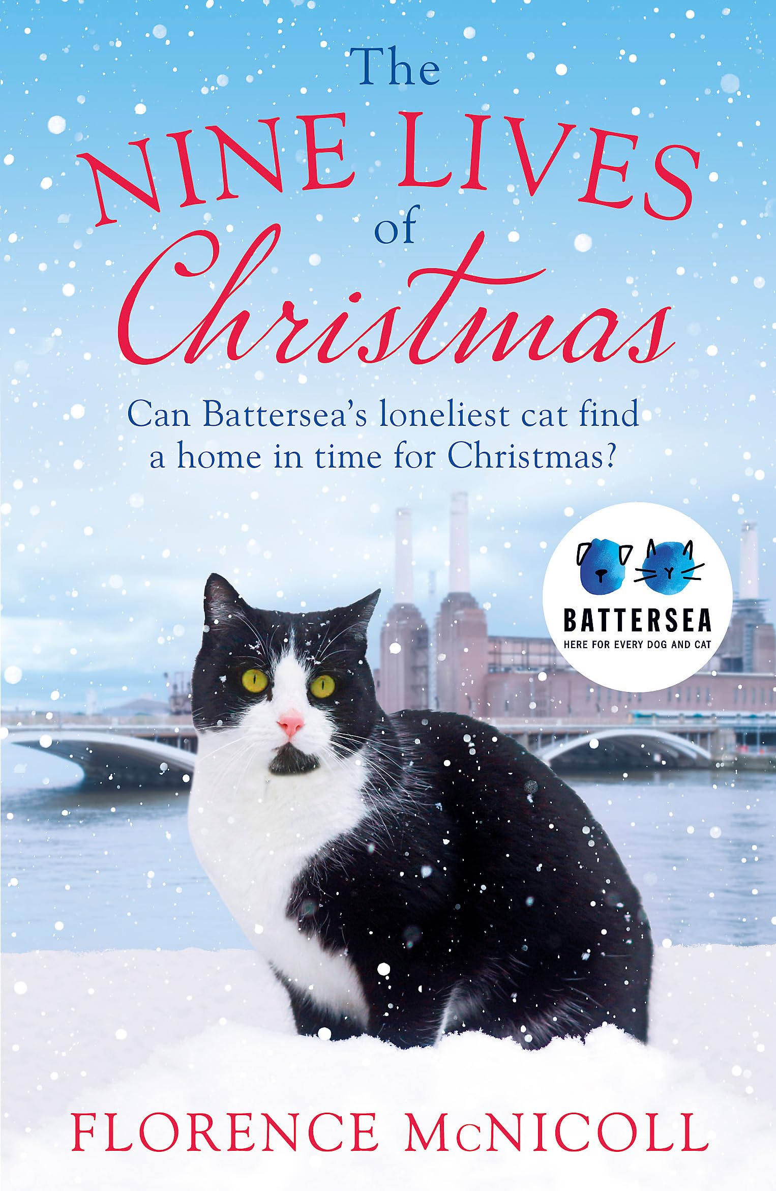 The Nine Lives of Christmas: Can Batterseas Felicia find a home in time for the holidays?