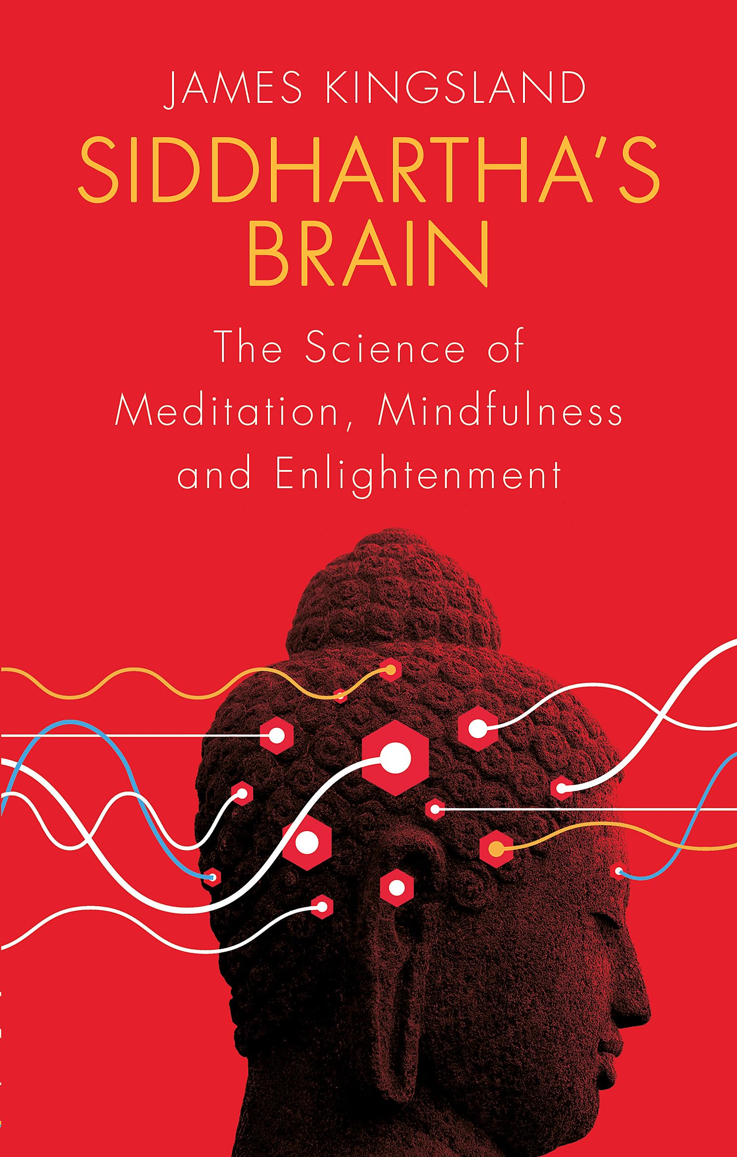 SiddharthaS Brain: The Science Of Meditation, Mindfulness And Enlightenment