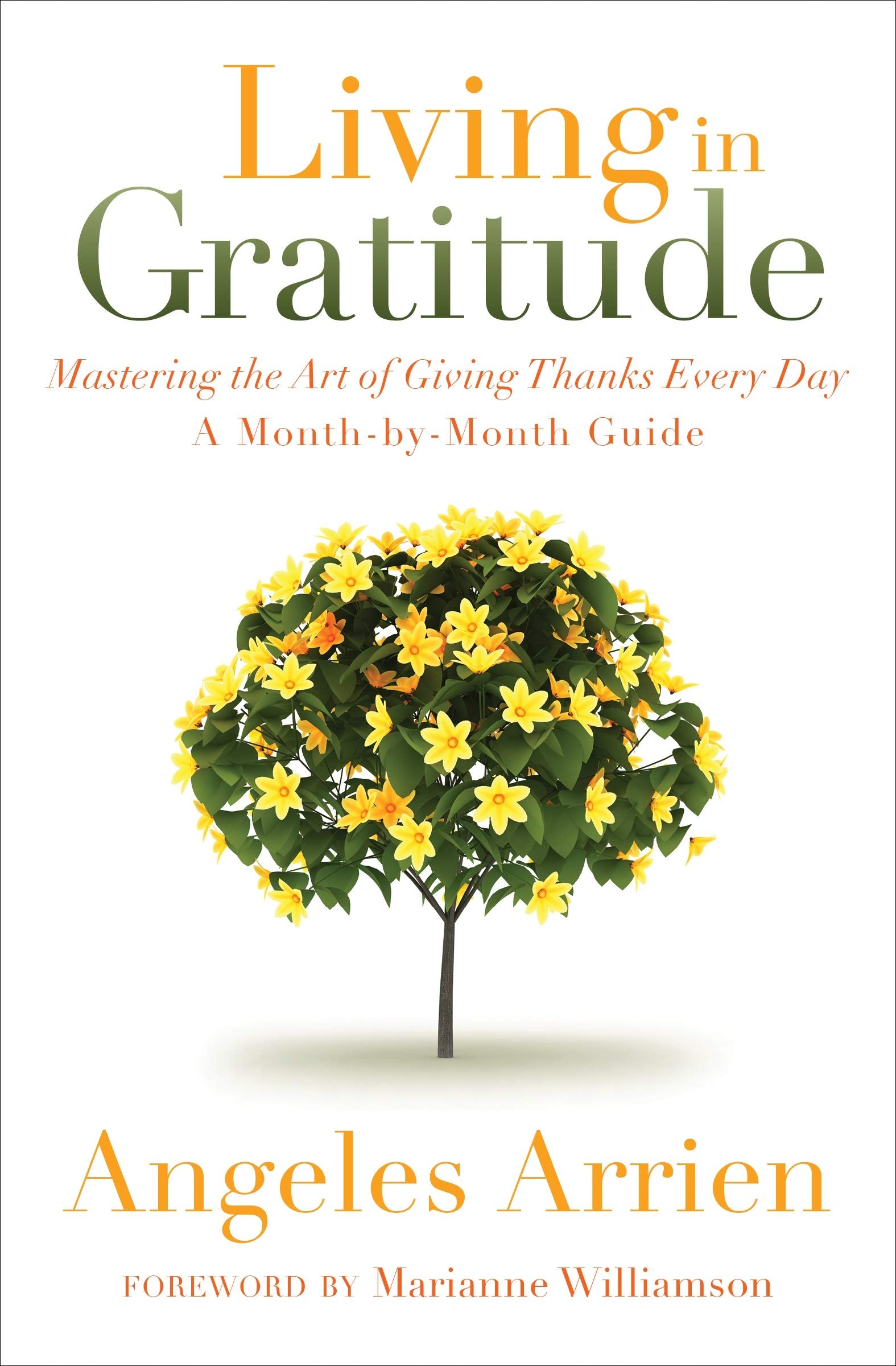 Living in Gratitude: Mastering the Art of Giving Thanks Every Day, A MonthbyMonth Guide