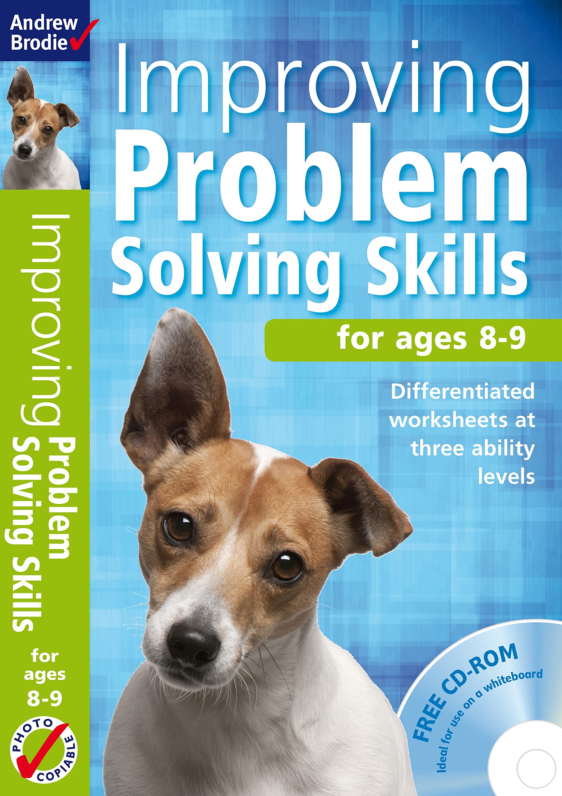 Improving Problem Solving Skills For Ages 89