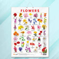 FLOWERS CHART GLOSS LAMINATED |Flower Wonderland: Glossy Identification Chart for Kids