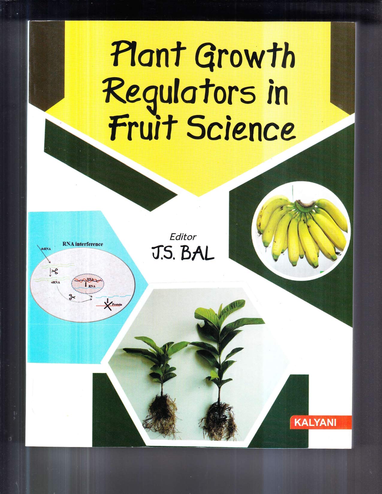 PLANT GROWTH REGULATORS IN FRUIT SCIENCE