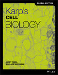 Karps Cell Biology Global Edition