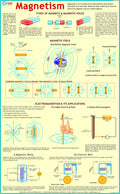 Magnetism Chart | Laminated | 55 x 90 cm | Physics Chart | Science Chart