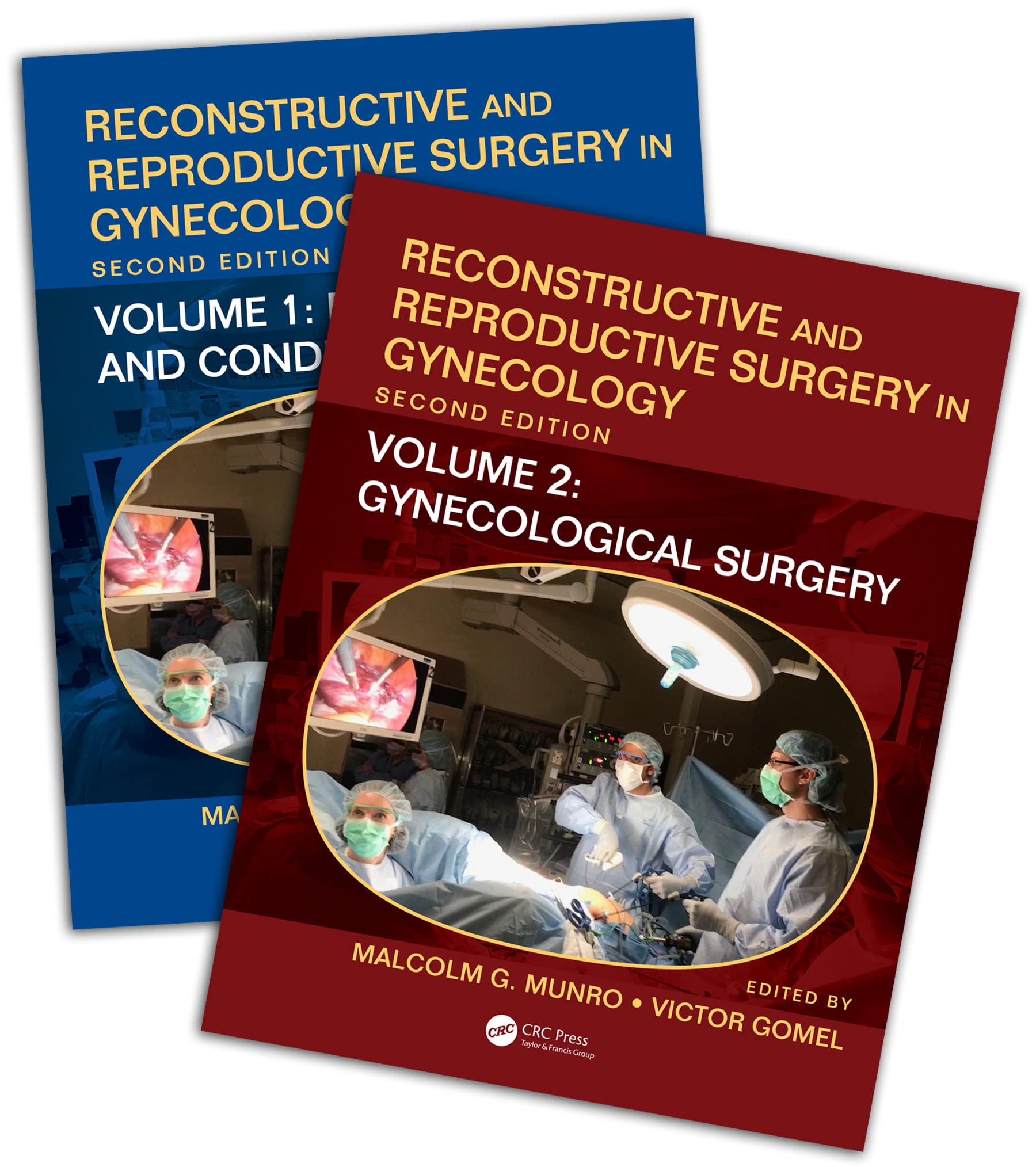 Reconstructive And Reproductive Surgery In Gynecology 2 Vol Set 2Ed (Hb 2019): Two Volume Set