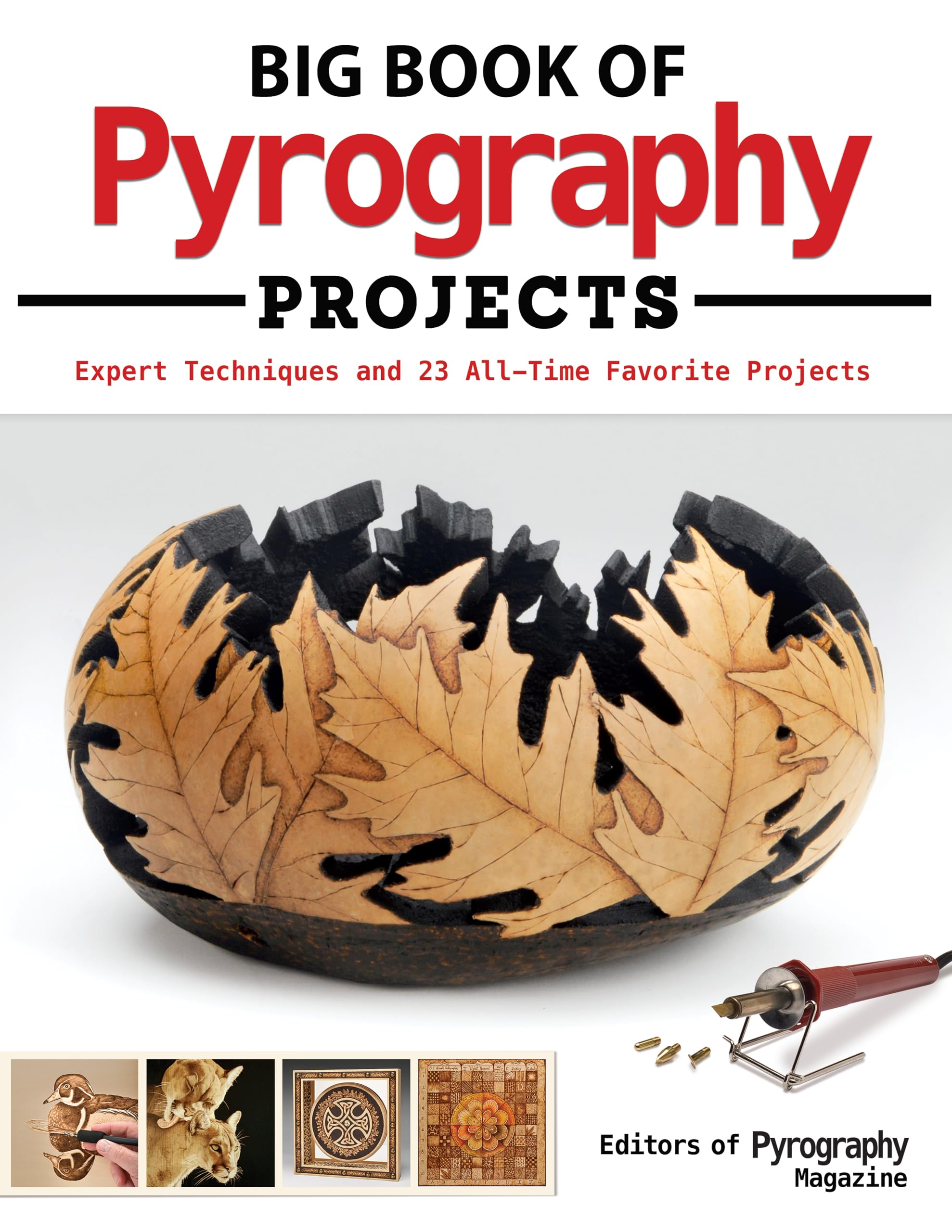 Big Book of Pyrography Projects: Expert Techniques and 23 AllTime Favorite Projects (Fox Chapel Publishing) Includes BeginnerF