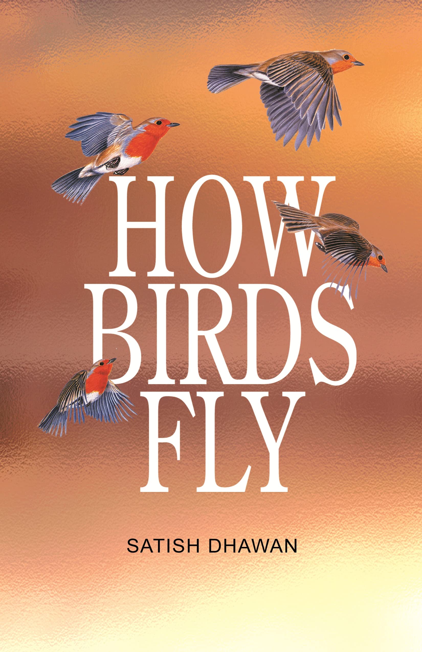 How Birds Fly