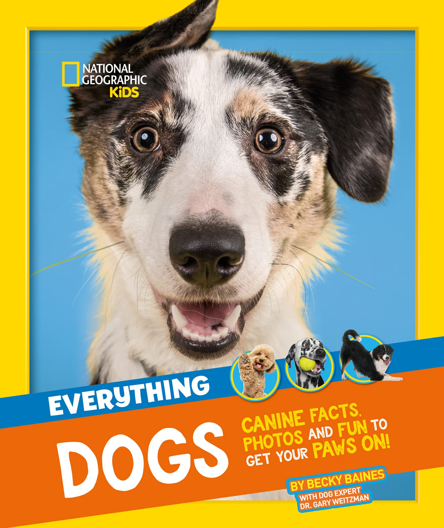 Everything: Dogs: Canine Facts, Photos and Fun to Get Your Paws on!