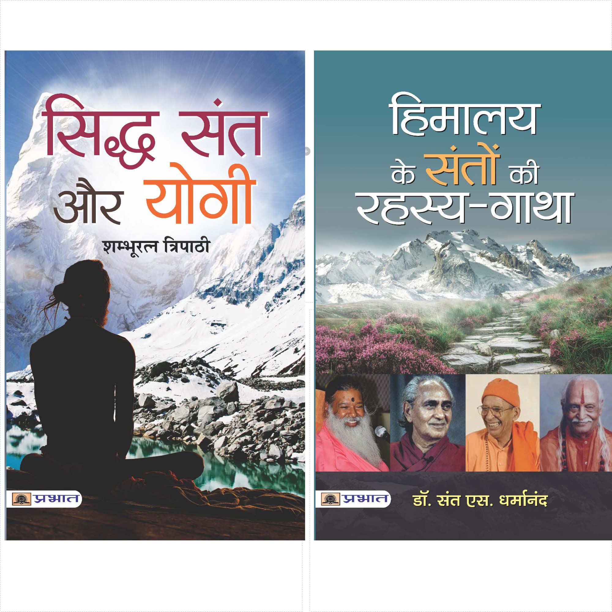 Adhyatam Ka Rehsay (Himalaya Ke Santon Ki RahasyaGatha + Siddha Sant Aur Yogi) (Set Of 2 Hindi Books)