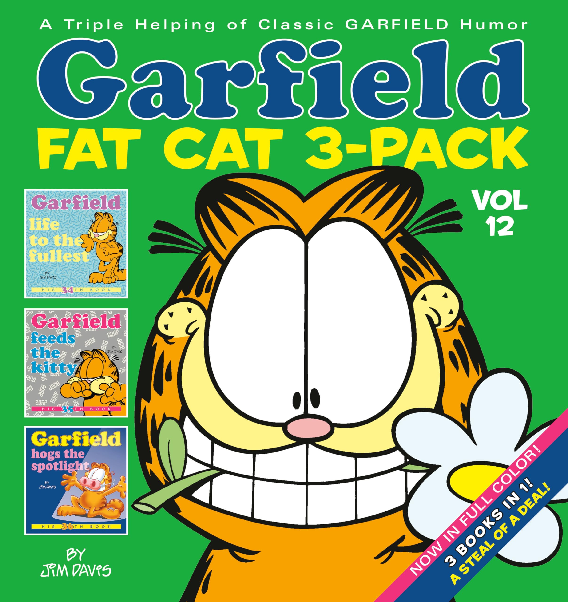 Garfield Fat Cat 3Pack #12