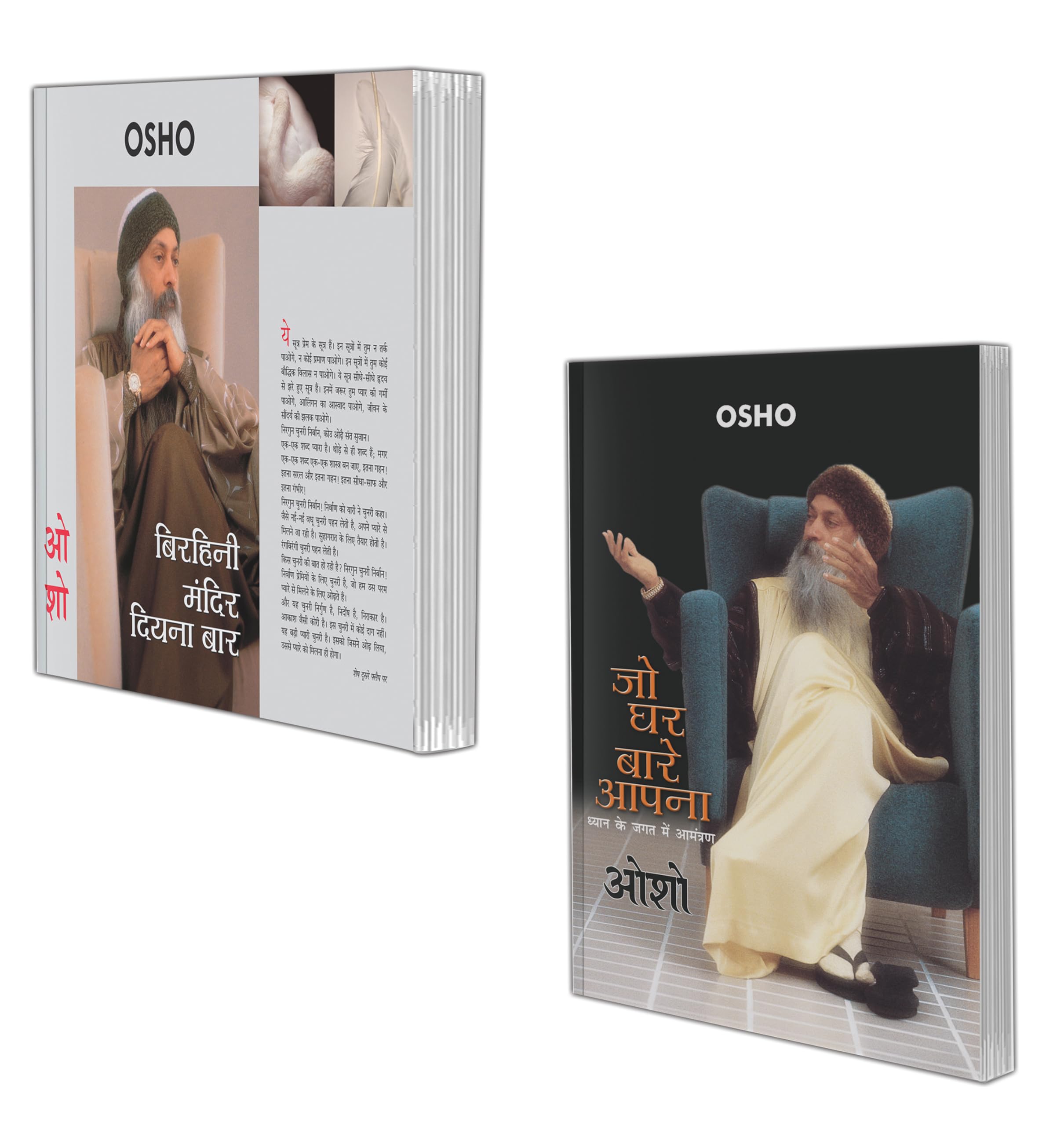 Set Of 2 Osho Sahitya Books In Hindi |   |     | Birhini Mandir Diyna Baar In Hindi And     | Jo Ghar Baare Apna In Hindi