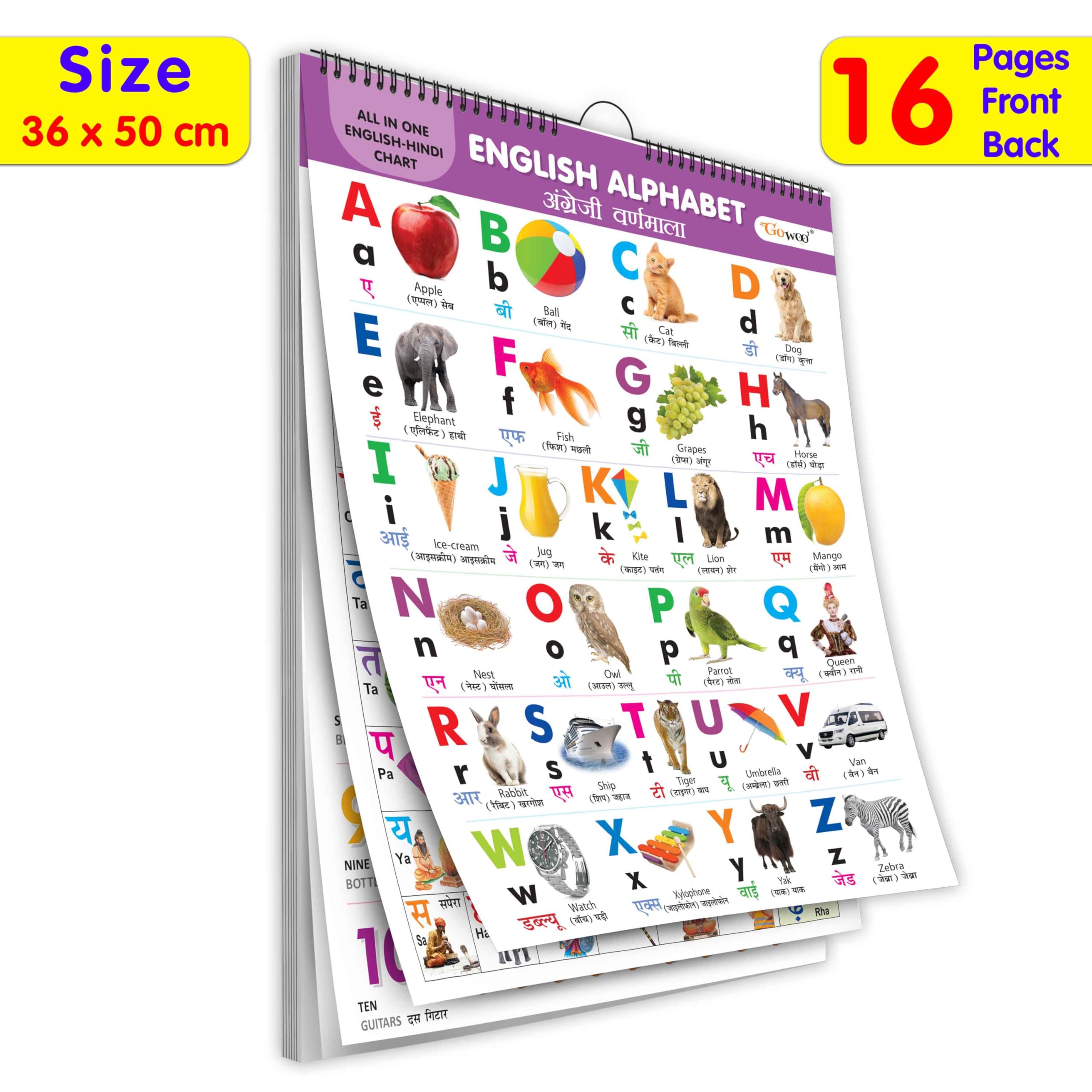 ENGLISHHINDI Chart For Kids (16 Charts ) 36 x 50 cm  Children Spiral Wall Picture Chart