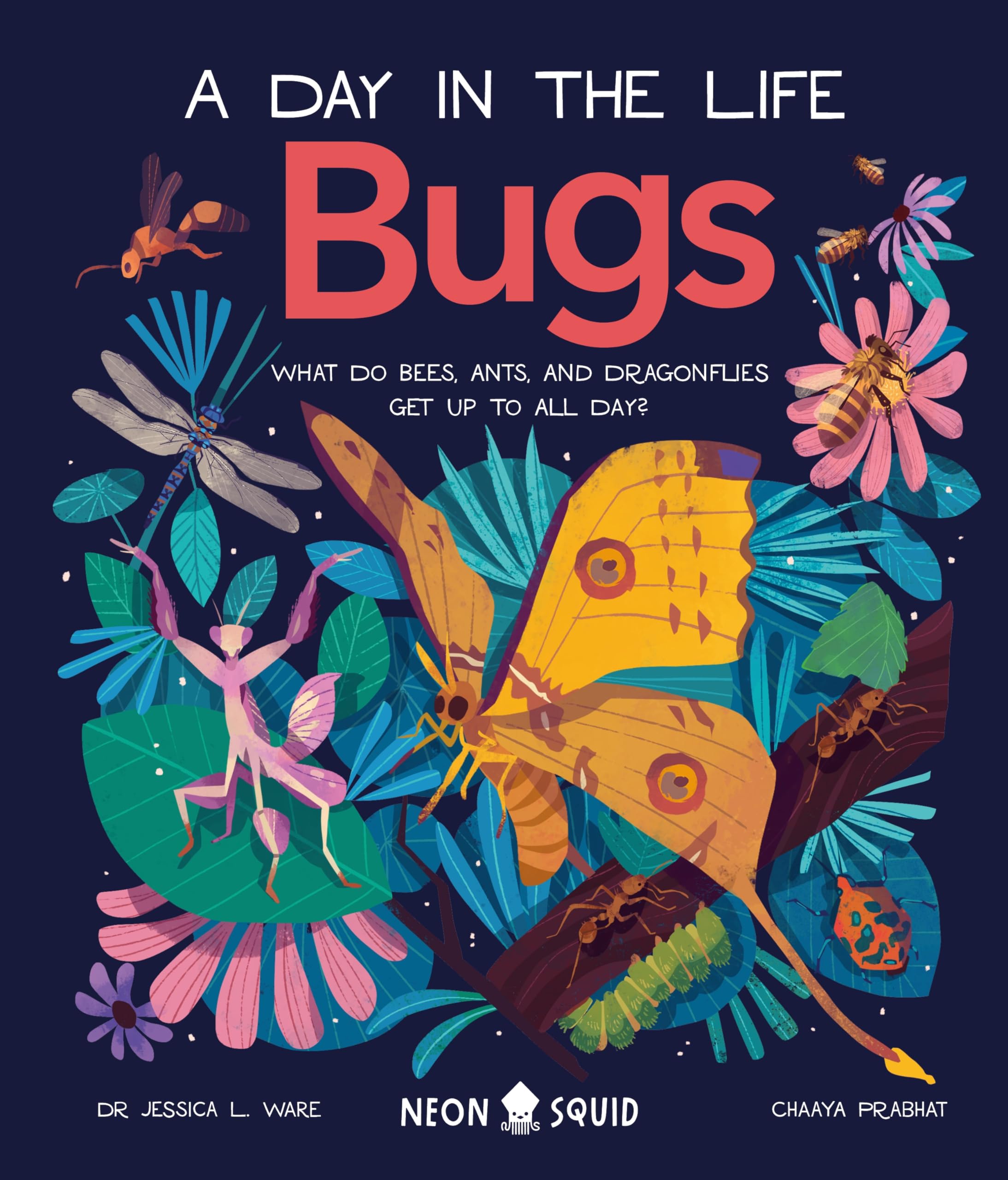 Bugs (A Day In The Life)