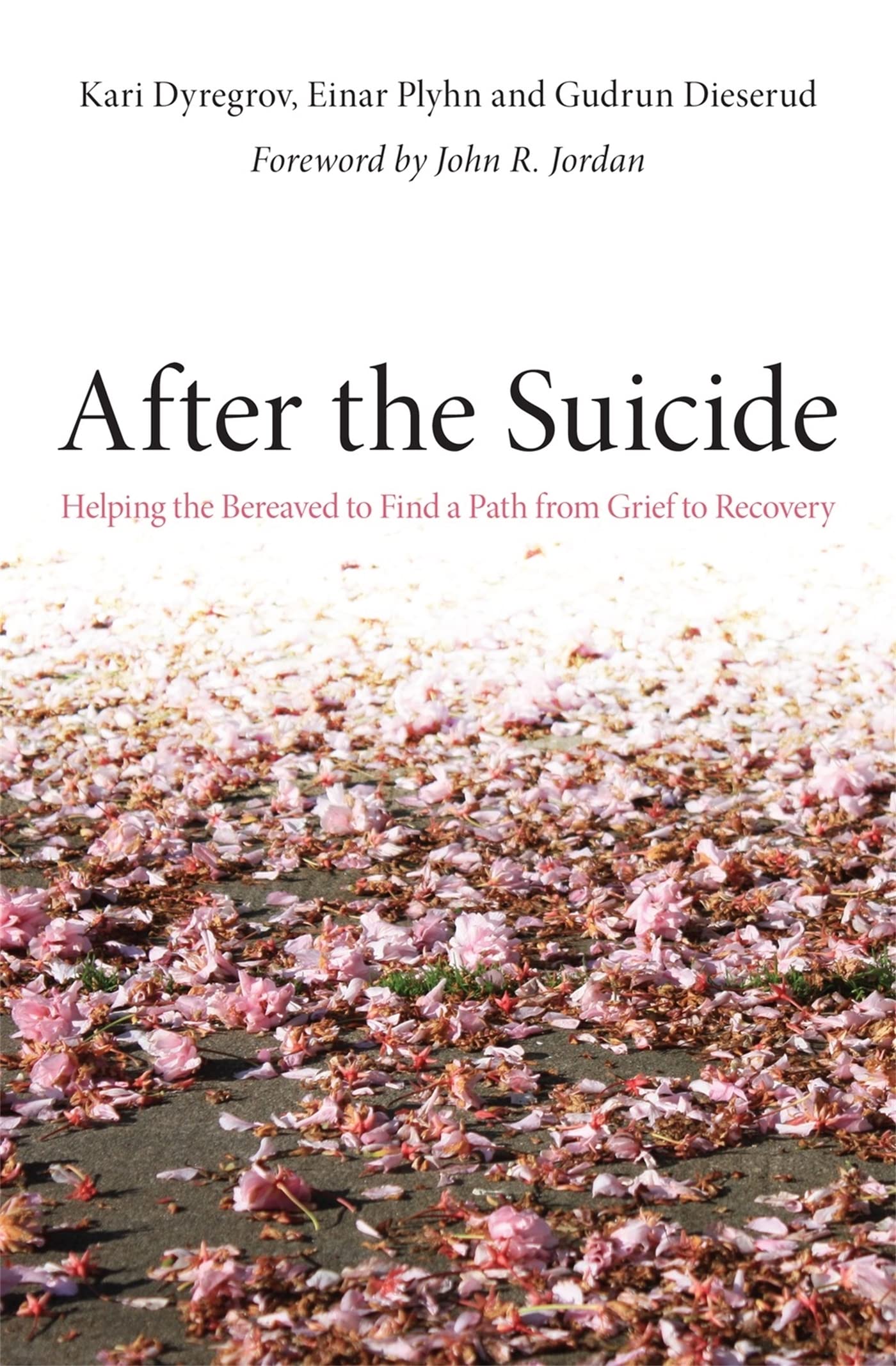 AFTER THE SUICIDE