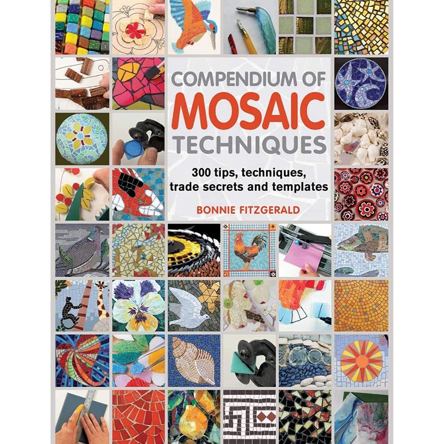 Compendium of Mosaic Techniques: Over 300 Tips, Techniques and Trade Secrets by Bonnie Fitzgerald (20120802)