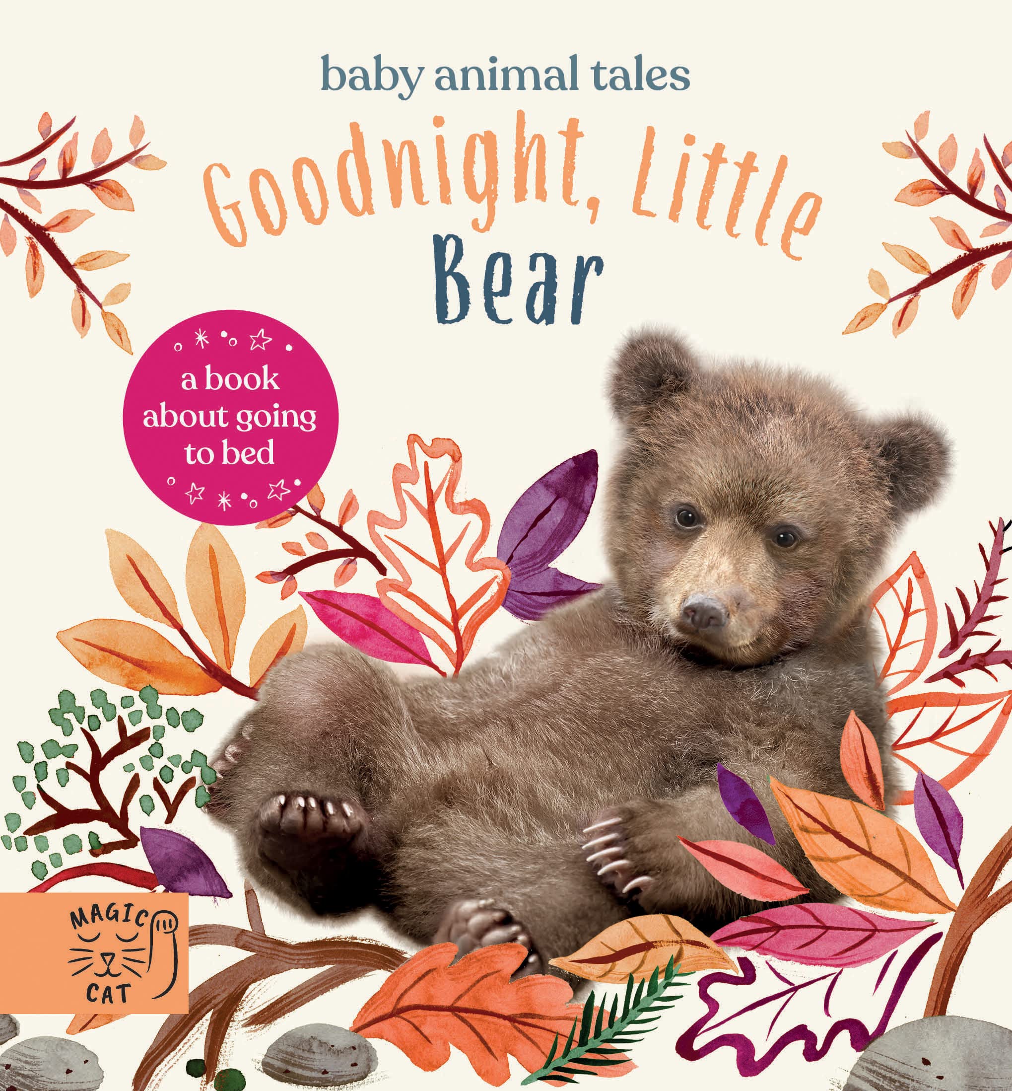 Goodnight Little Bear