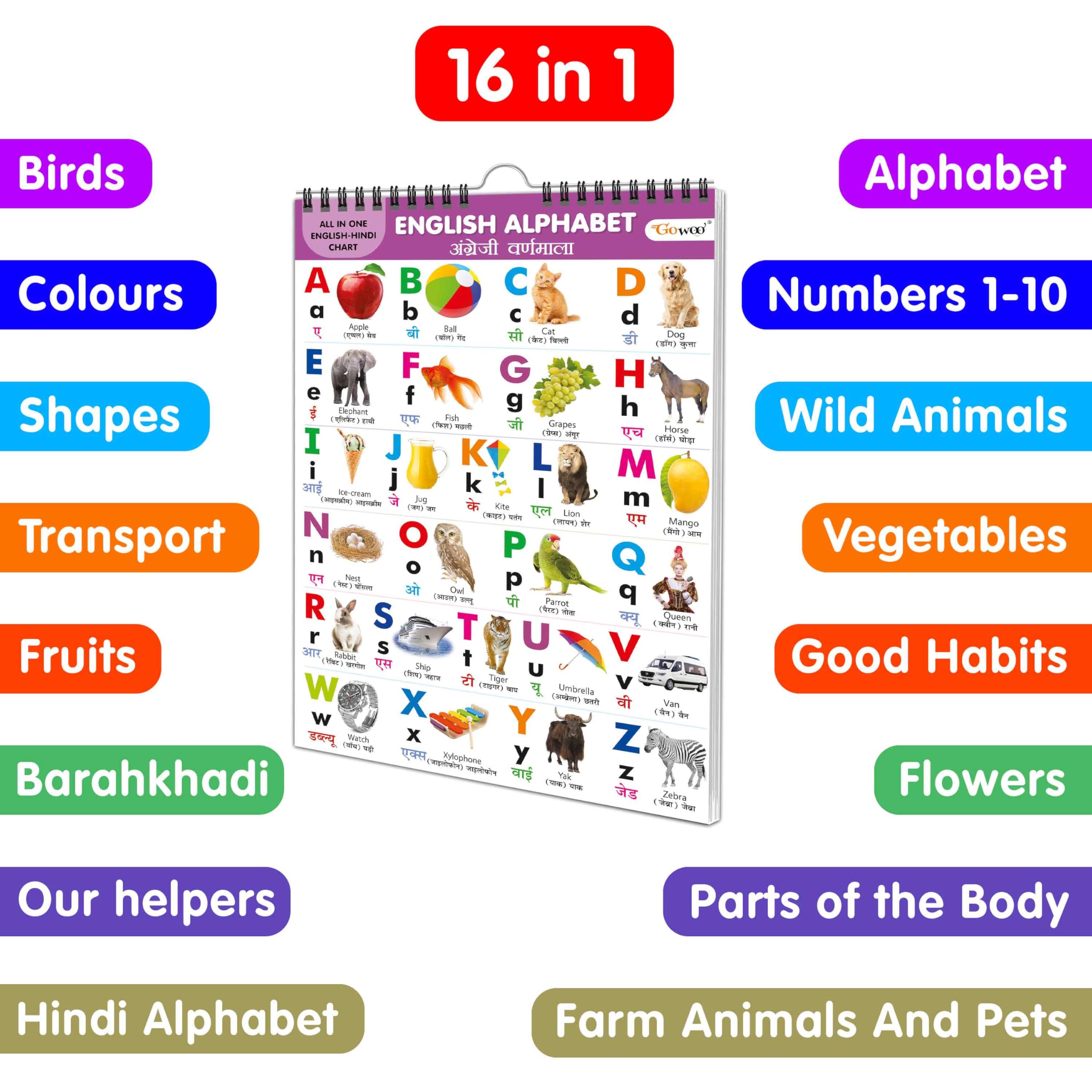 My First ALL IN ONE SPIRAL CHART ENGLISHHINDI : Collection of early learning Chart, Preschool Kids Chart, 16 topics Learning Ch