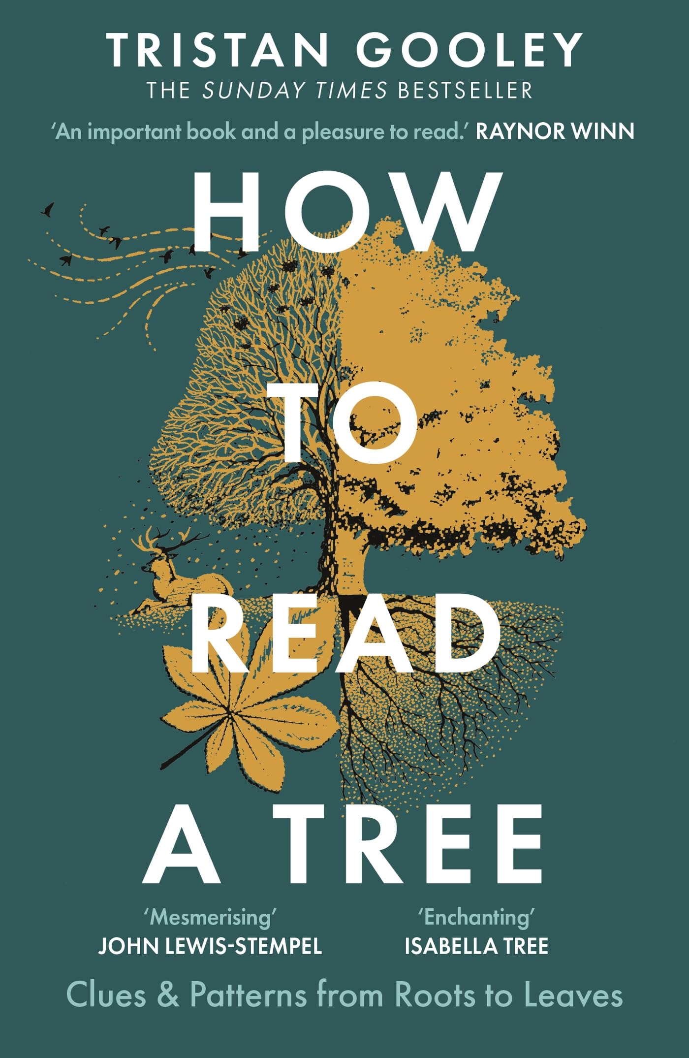 How To Read A Tree (B Pb): A MustHave For All Nature Lovers  Perfect Reading For Your Springtime Adventures