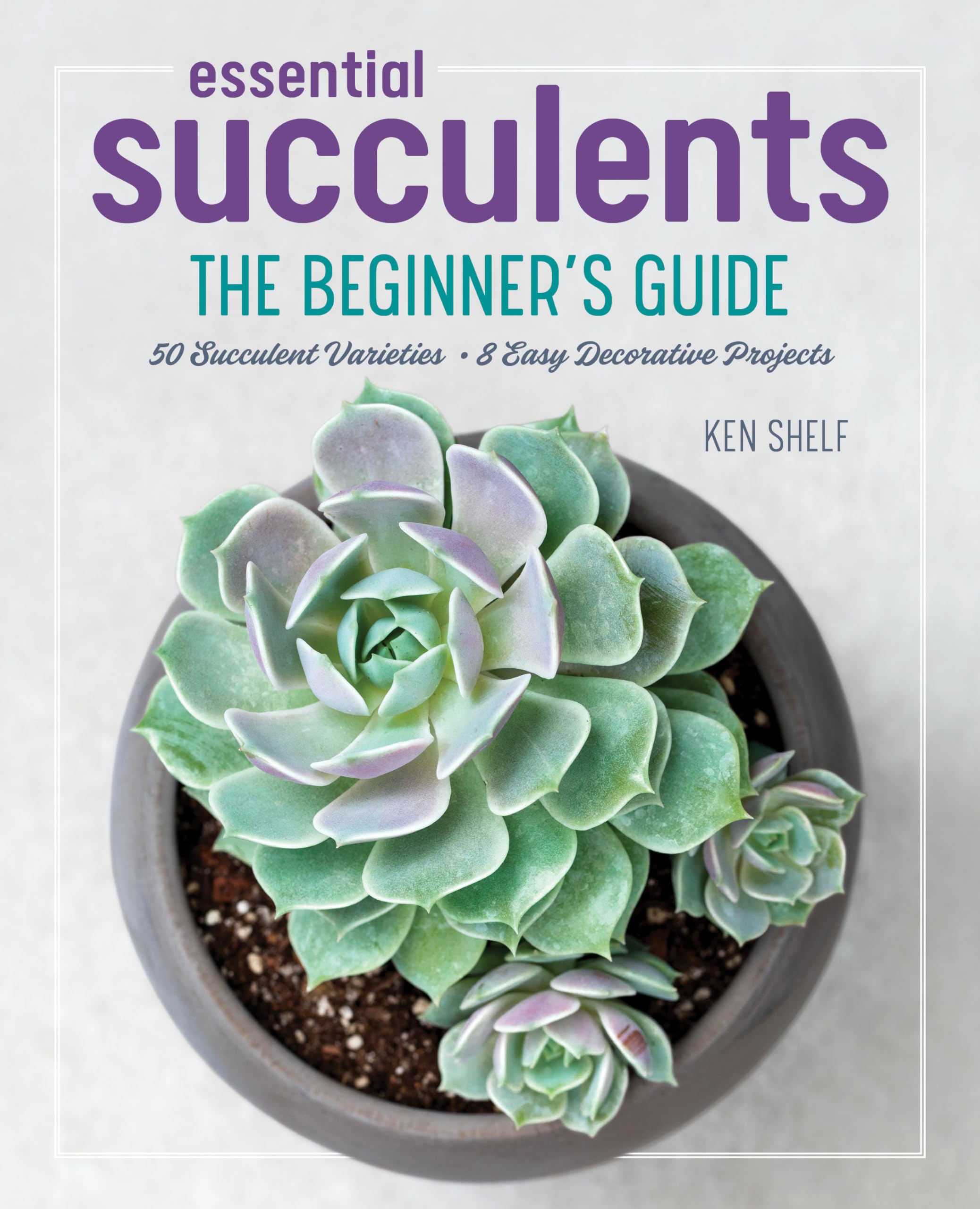 Essential Succulents: The Beginners Guide