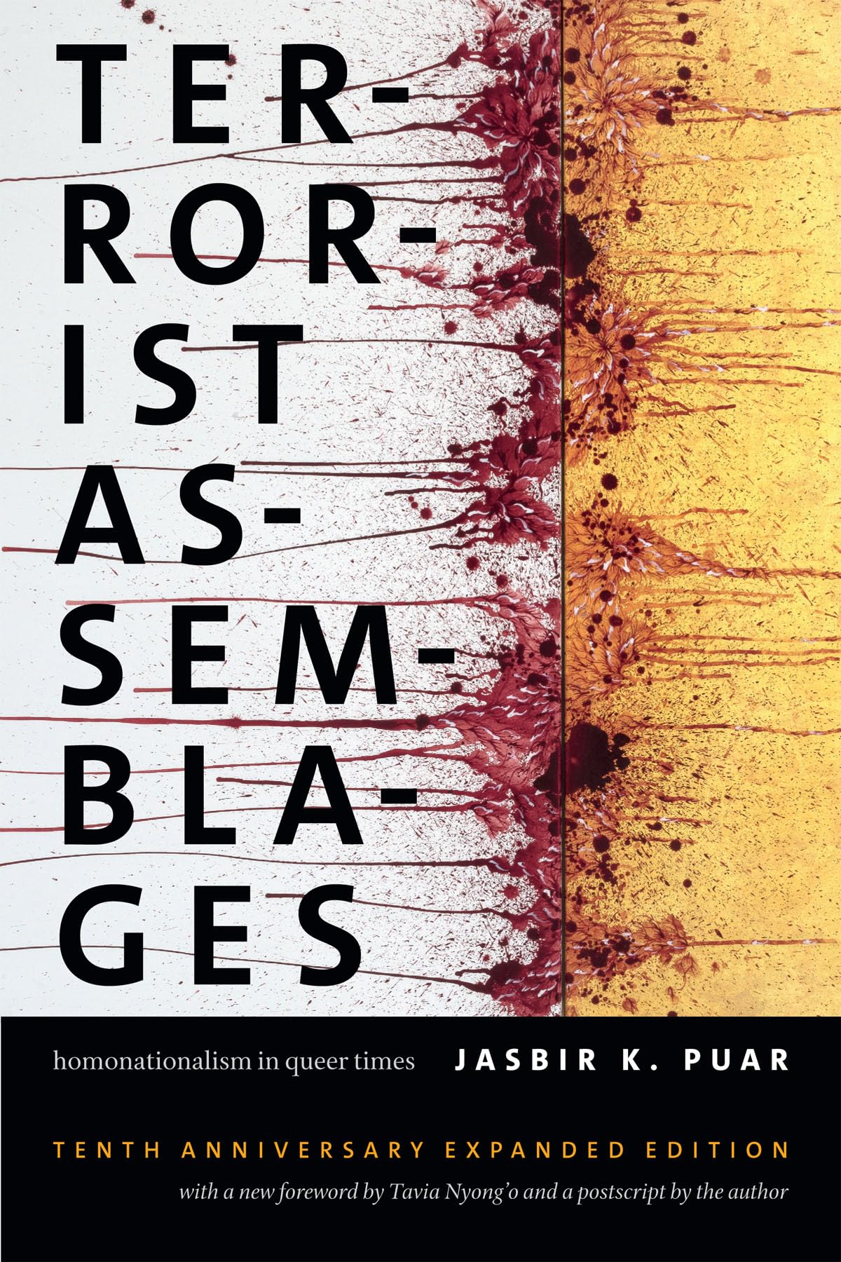 Terrorist Assemblages: Homonationalism in Queer Times (Next Wave: New Directions in Womens Studies)