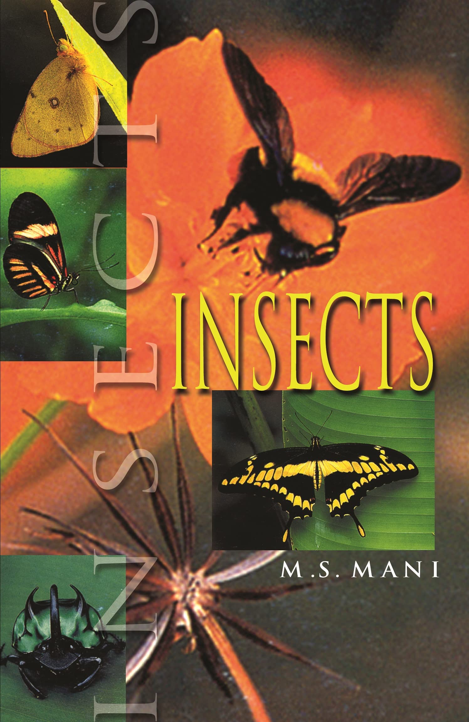Insects