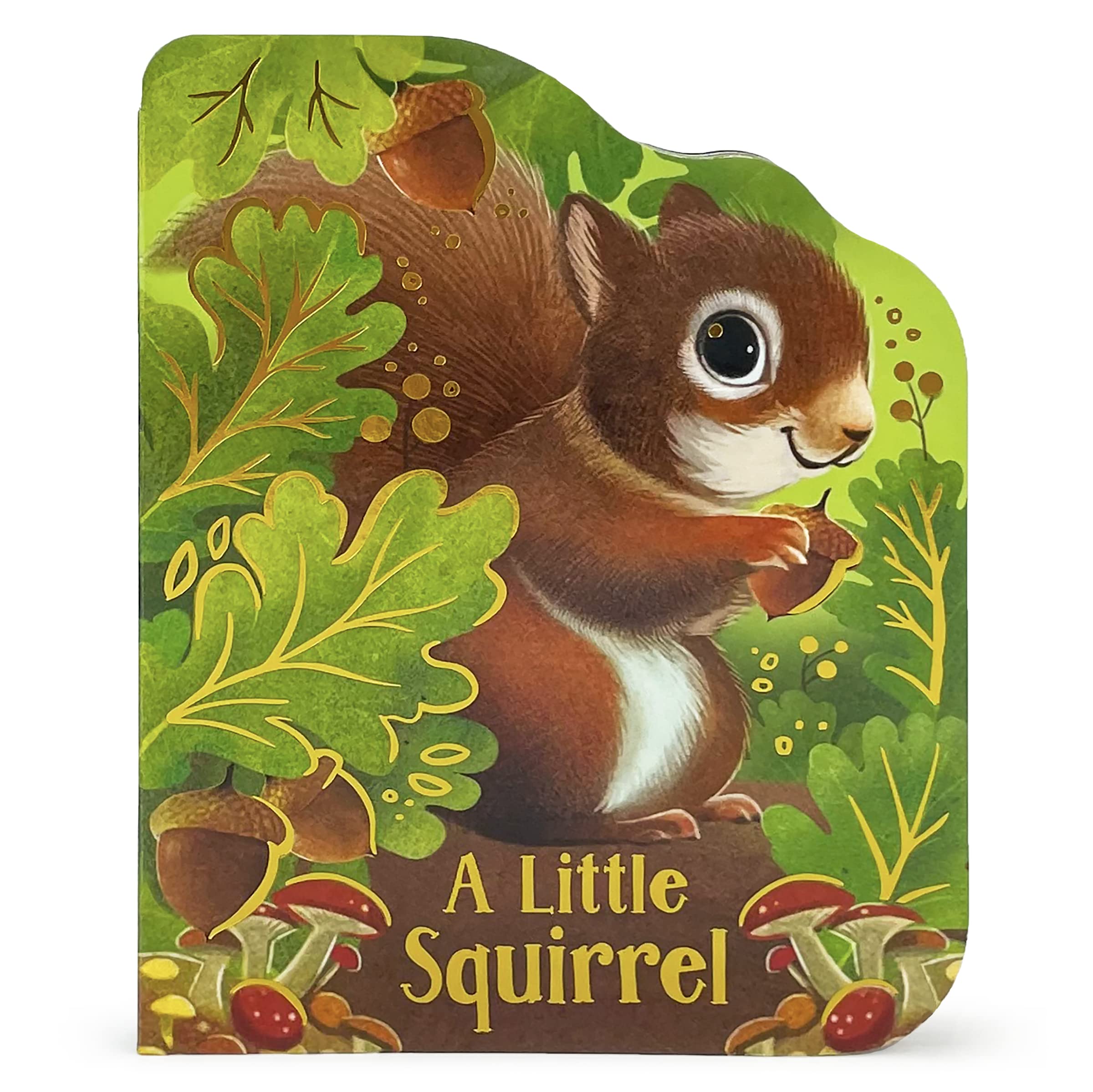 A Little Squirrel  An AnimalShaped Childrens Board Book, Ages 15