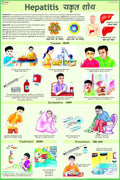 Hepatitis Chart
