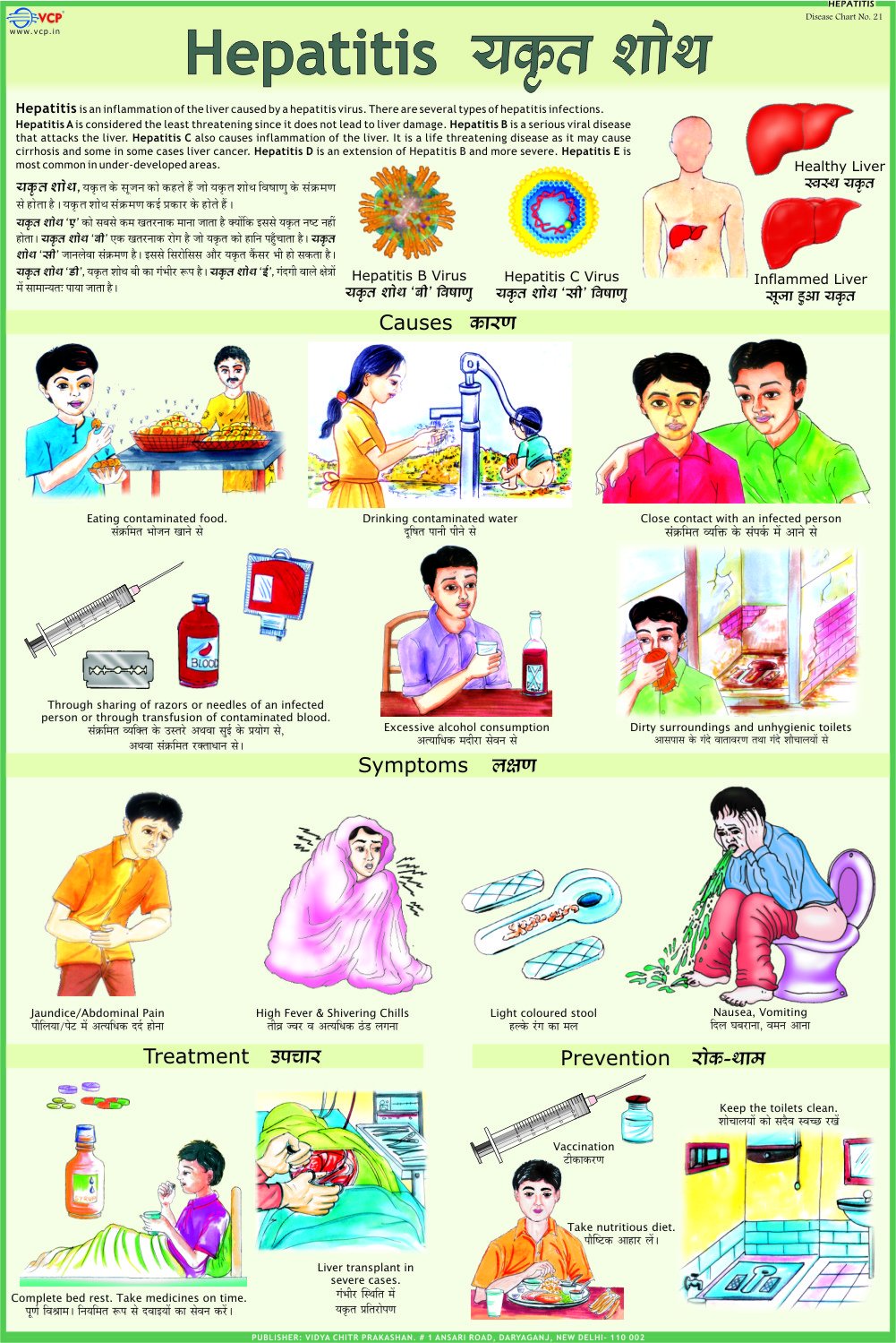 Hepatitis Chart