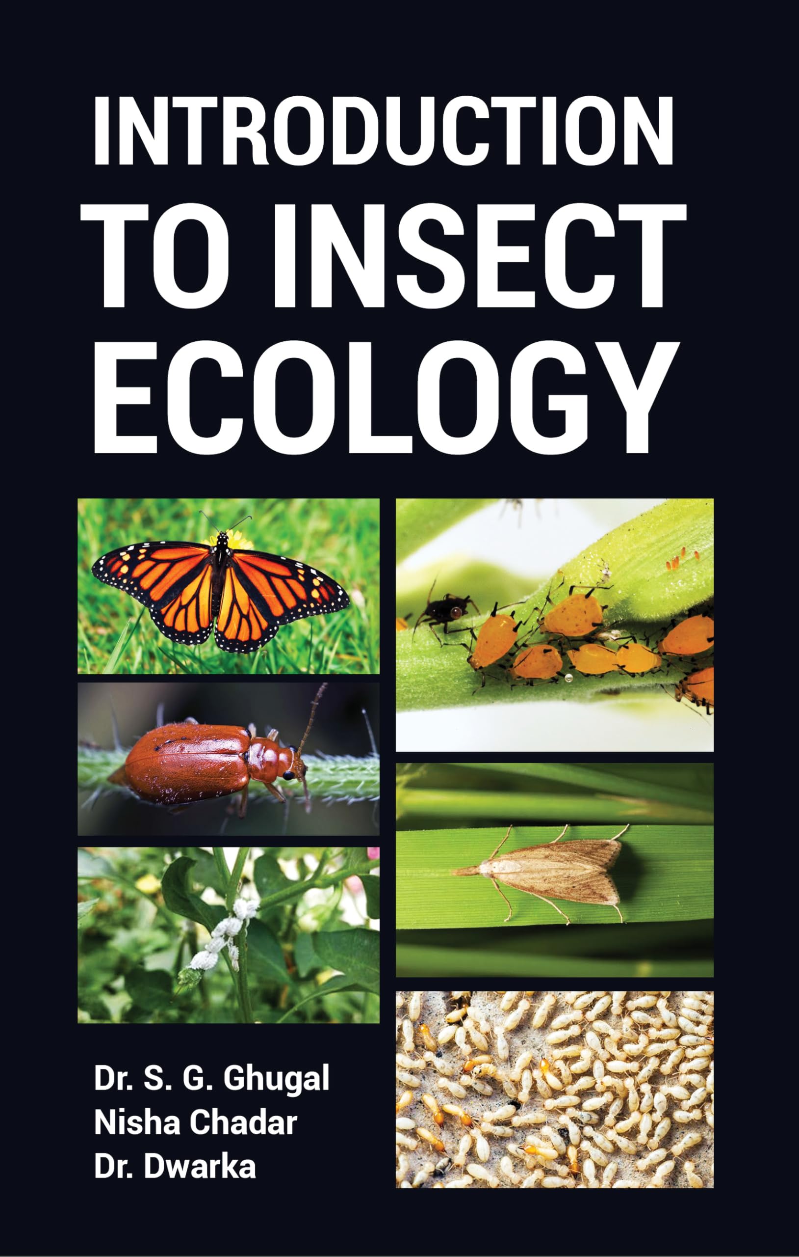 Introduction to Insect Ecology