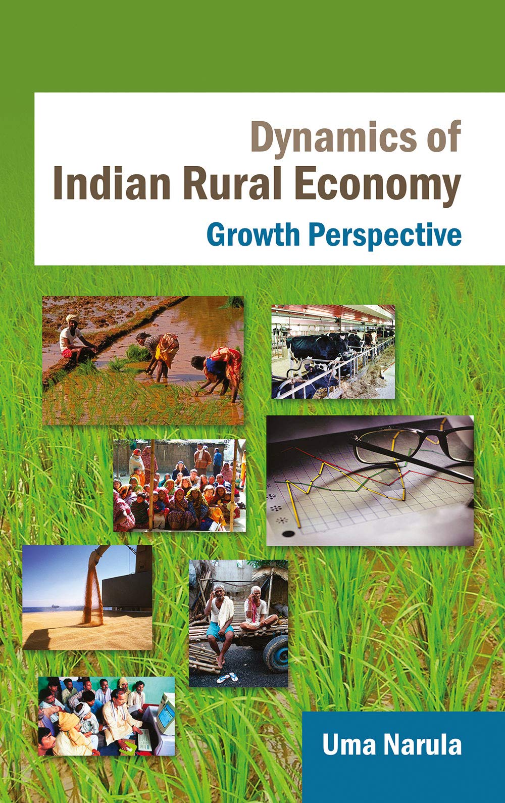 Dynamics Of Indian Rural Economy: Growth Perspective