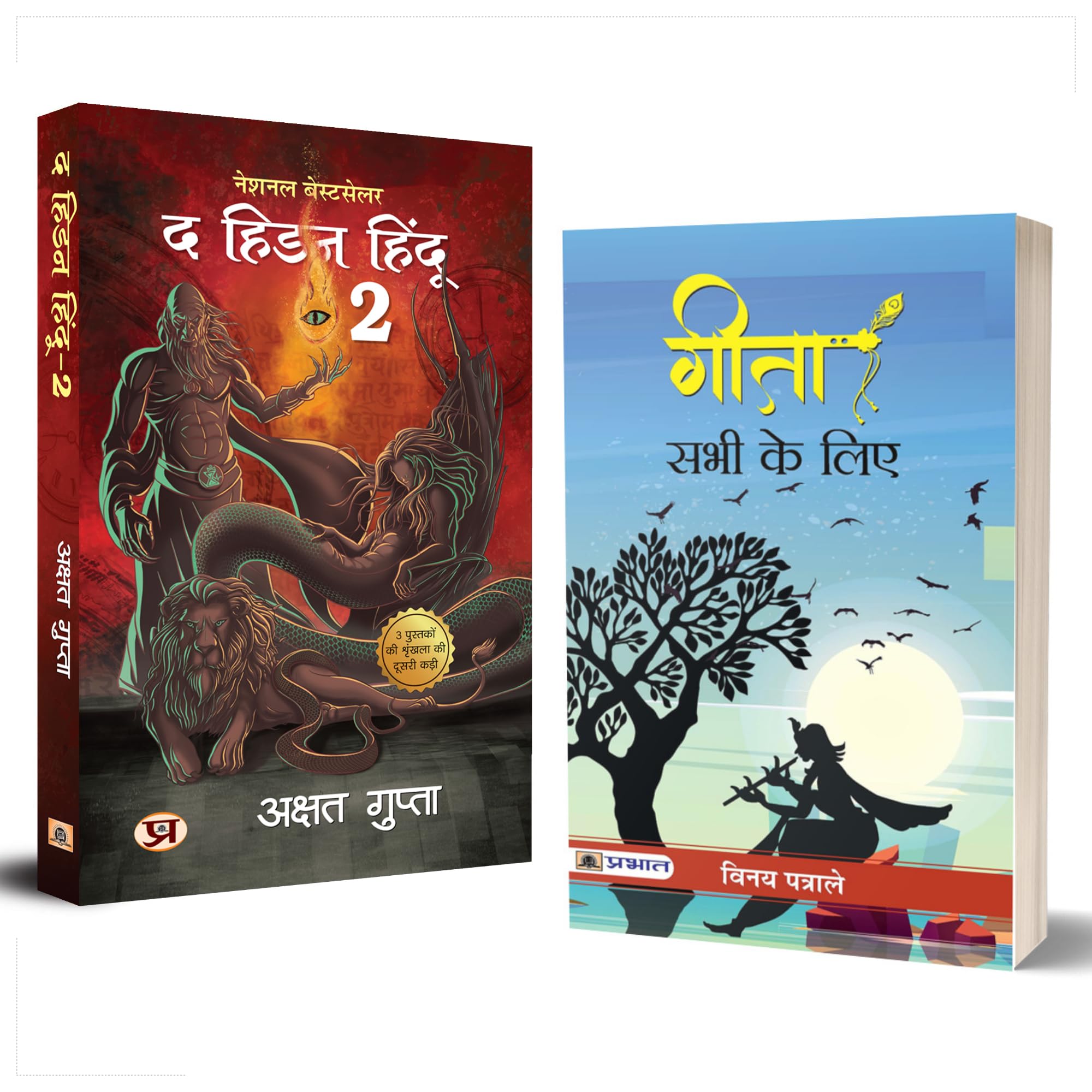 Gita Sabhi Ke Liye & The Hidden Hindu Book 2 (Set of 2 Hindi Books)