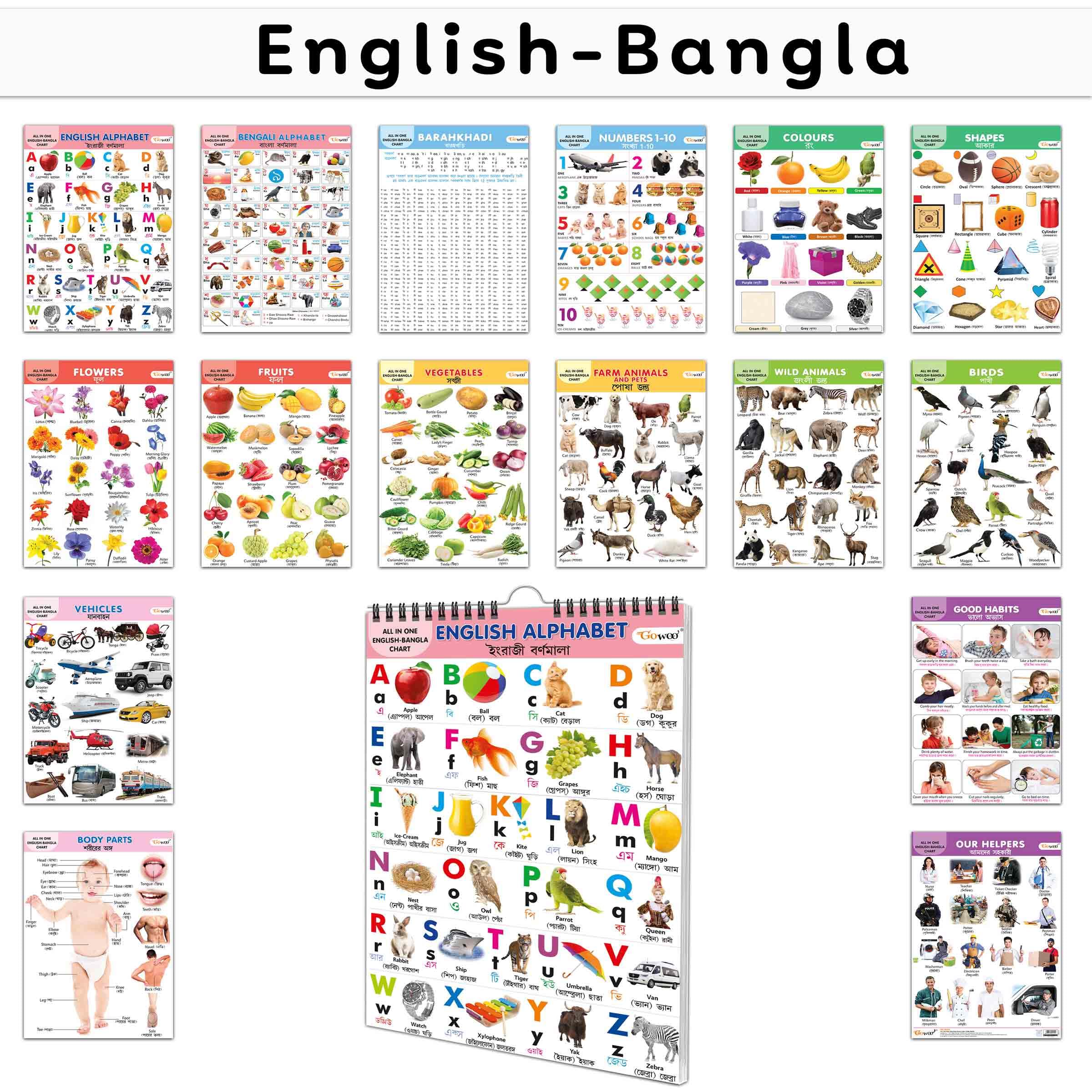 Essential Chart Of All In One : My First ALL IN ONE SPIRAL CHART ENGLISHBANGLA Educational Chart books for toddlers Collection 