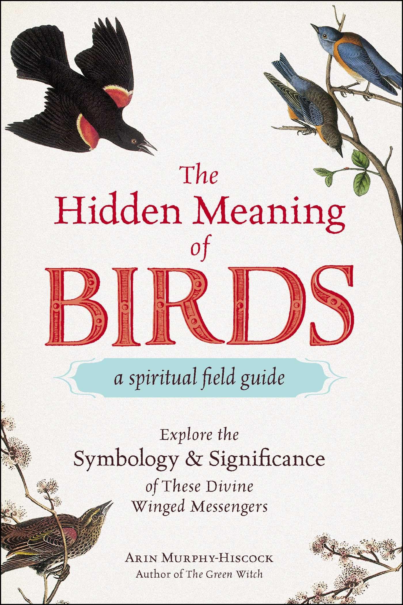 The Hidden Meaning of BirdsA Spiritual Field Guide: Explore the Symbology and Significance of These Divine Winged Messengers