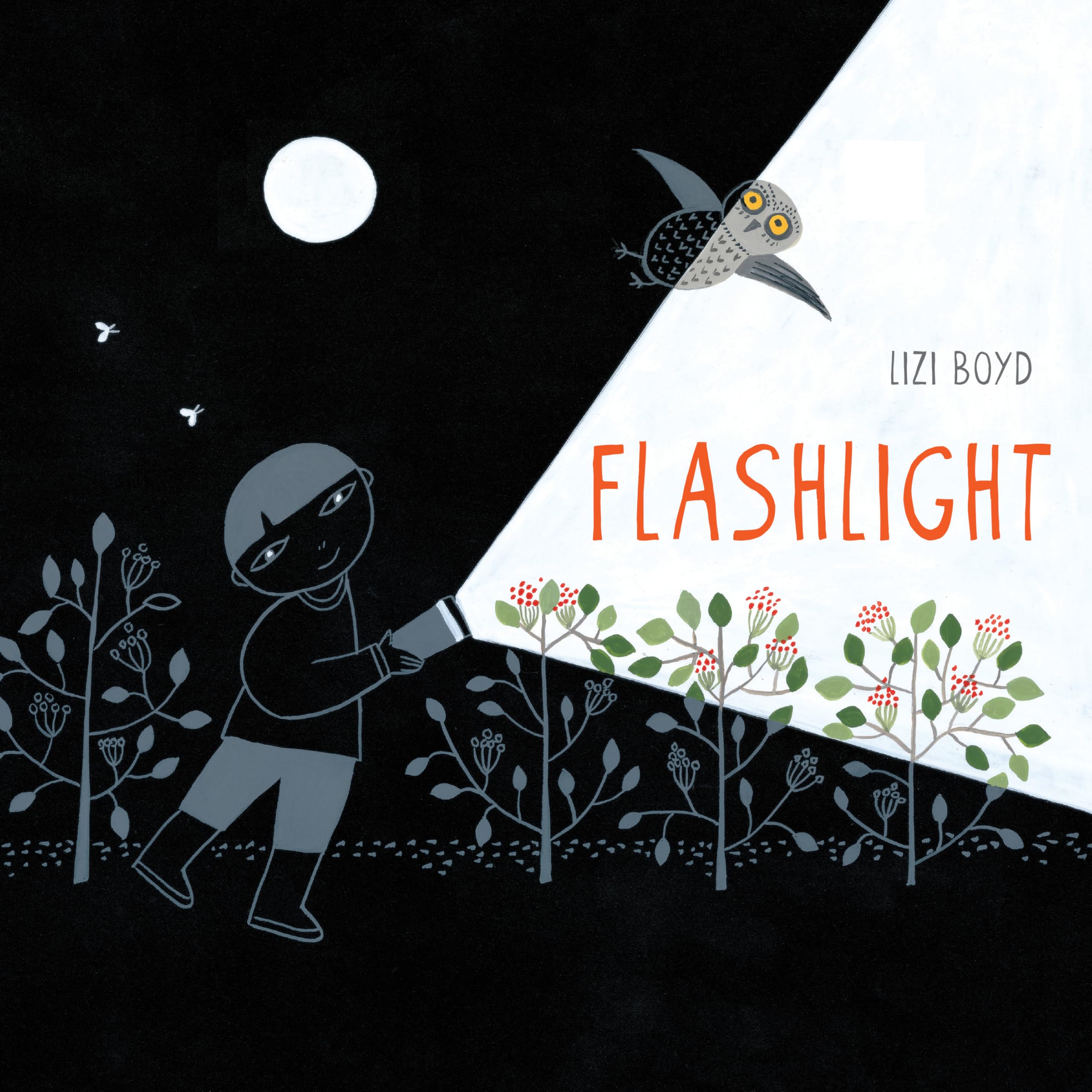 Flashlight: (Picture Books, Wordless Books for Kids, Camping Books for Kids, Bedtime Story Books, Childrens Activity Books, Chi